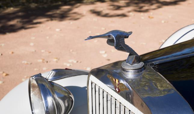 Mascotte "Cigogne" de l'automobile Hispano Suiza de 1936, collections du Musée Malartre - © Bertrand Stofleth