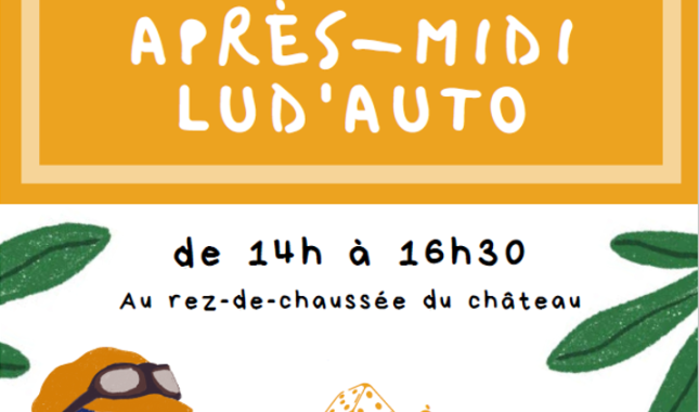Lud auto