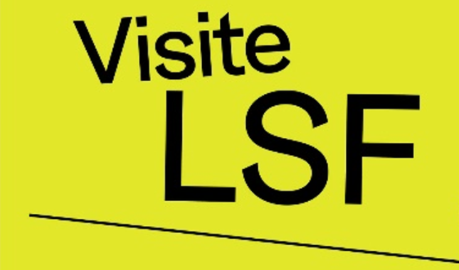 logo Visite LSF