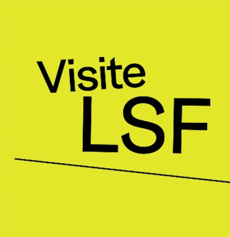 logo Visite LSF