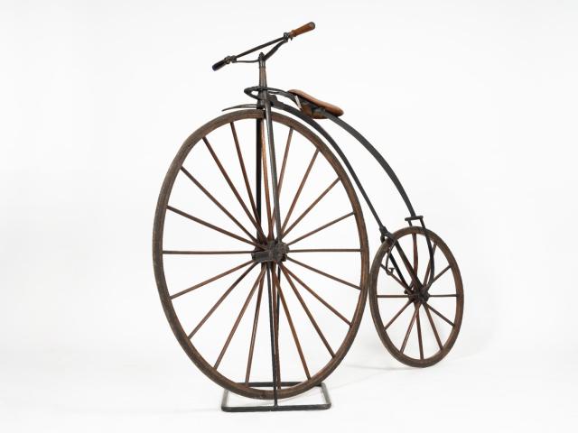 Grand bi Fournier - face